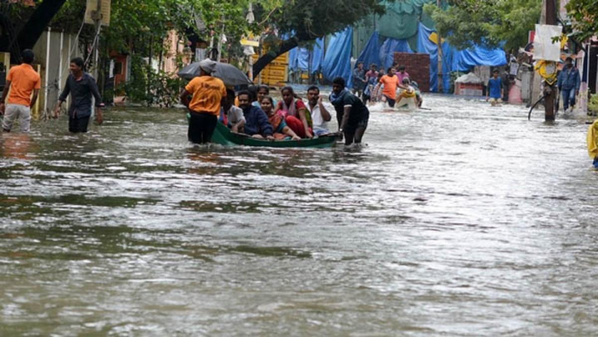 UrbanClap offers free pest control services in flood affected Chennai